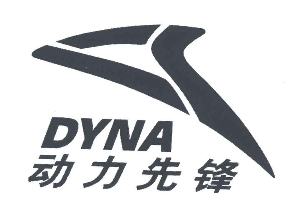 动力先锋DYNA及图