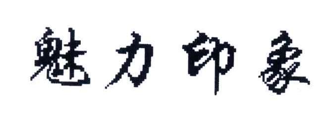 魅力印象