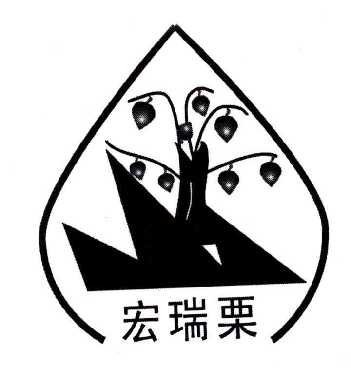 宏瑞栗