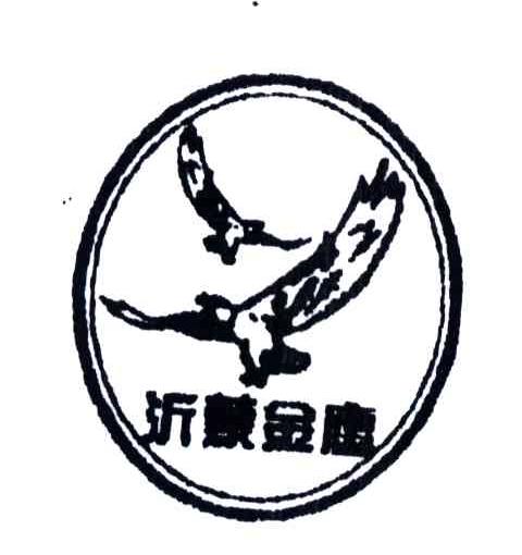 沂蒙金鹰