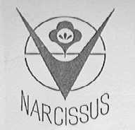 NARCISSUS