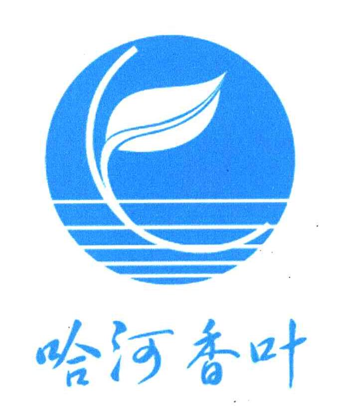 哈河香叶