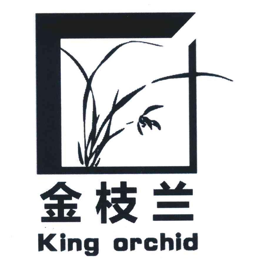 金枝兰 KING ORCHID