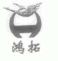 鸿拓