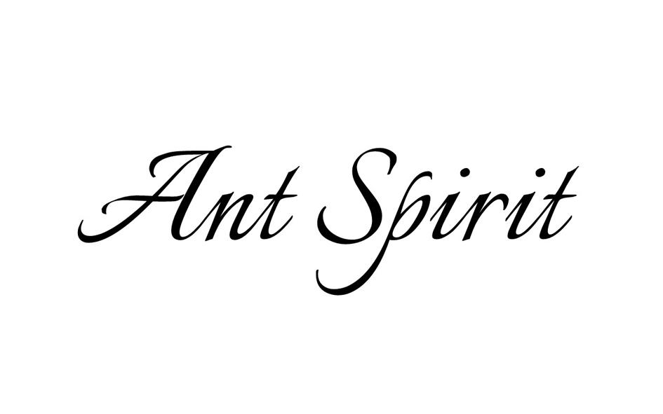 ANT SPIRIT