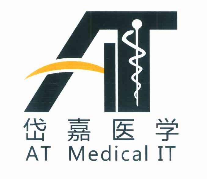 岱嘉医学 AT AT MEDICAL IT