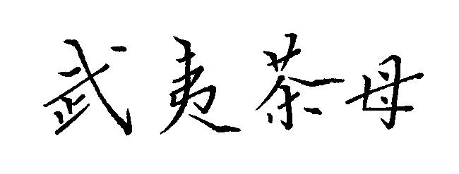 武夷茶母