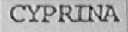 CYPRINA