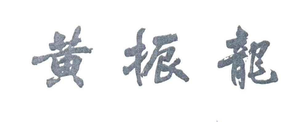 黄振龙