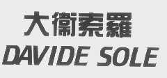 大卫索罗   DAVIDE SOLE