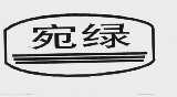 宛绿