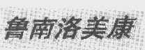鲁南洛美康