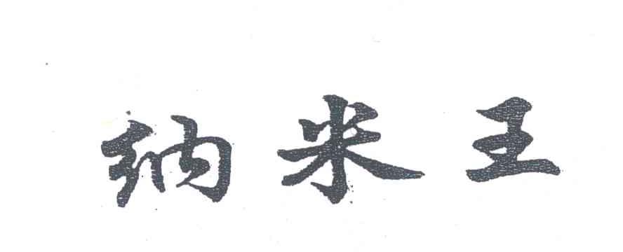 纳米王
