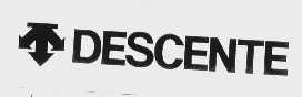 DESCENTE
