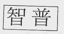 智普