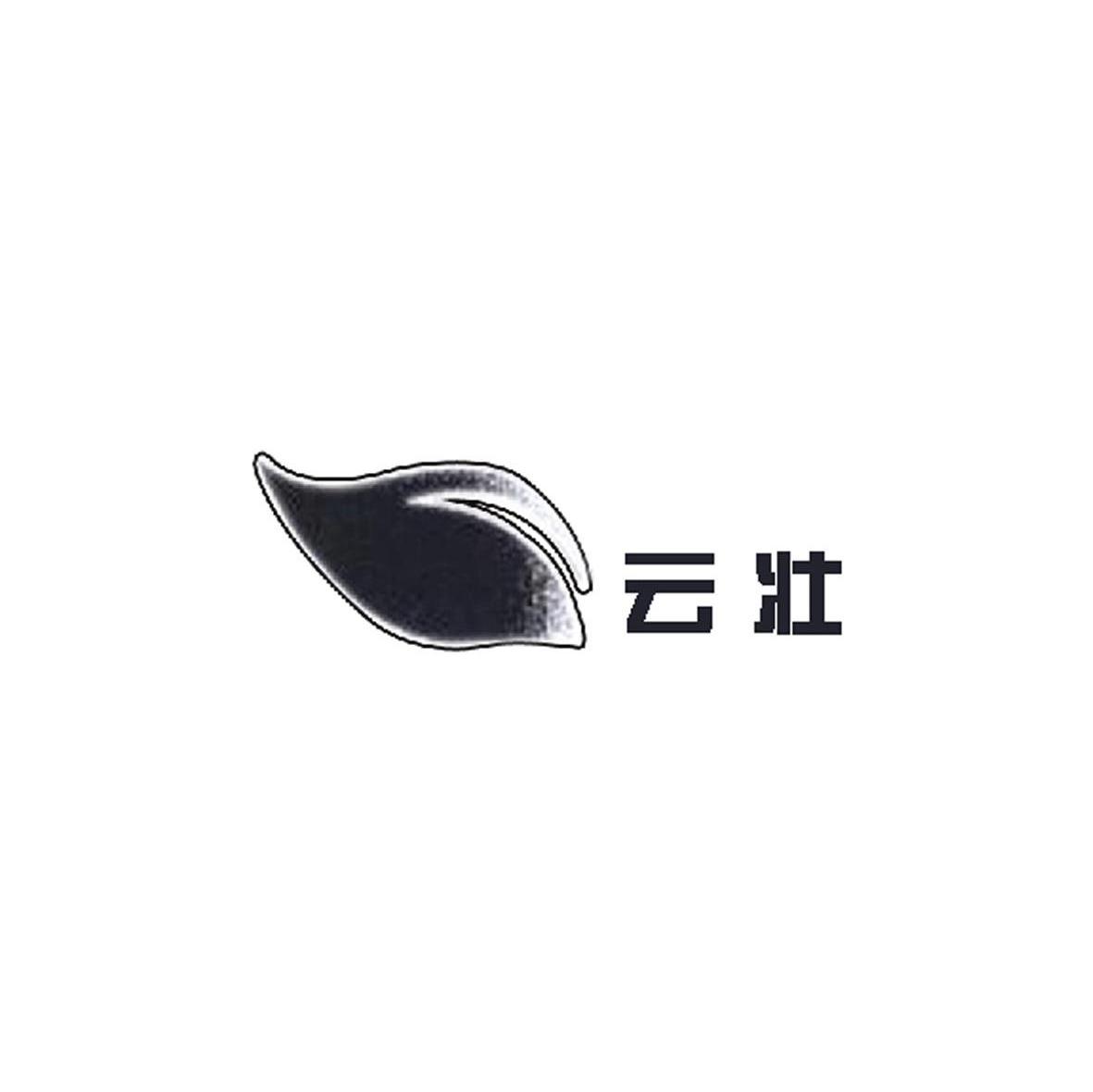 云壮