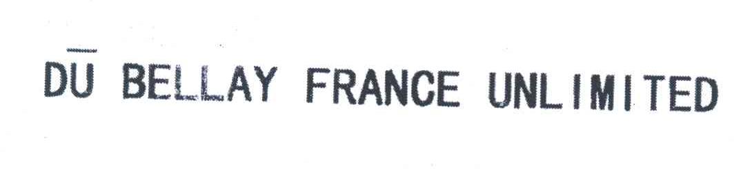 DU BELLAY FRANCE UNLIMITED