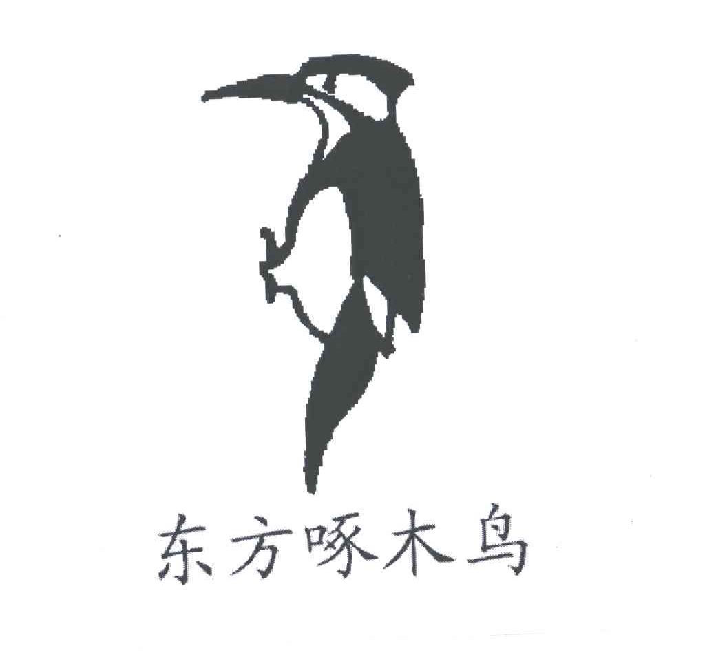 东方啄木鸟及图
