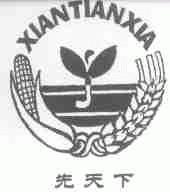 先天下