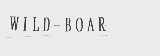 WILD-BOAR