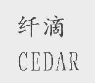 纤滴;CEDAR
