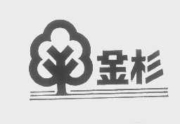 金杉