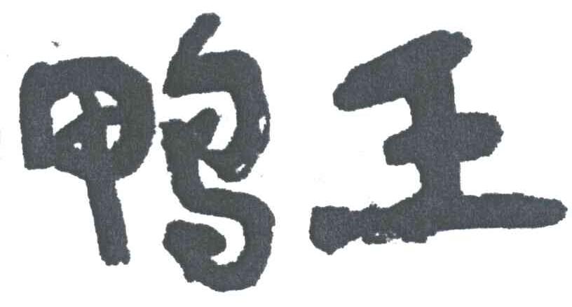 鸭王