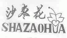 沙枣花