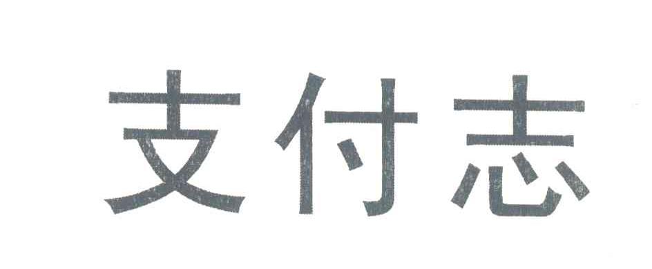 支付志