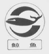 鲸鱼