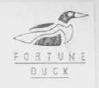FORTUNE DUCK