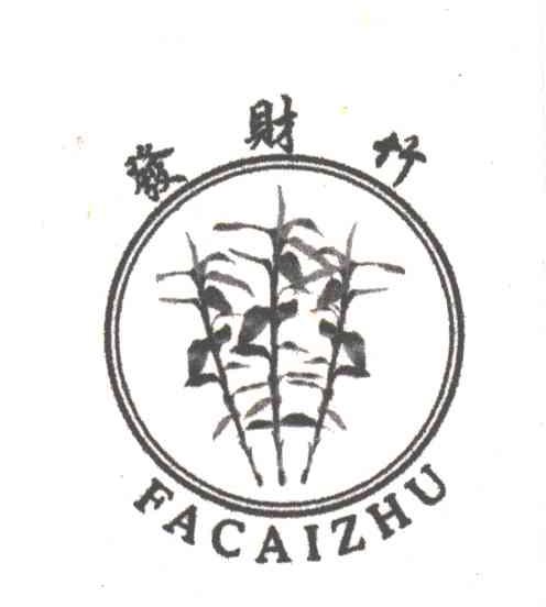 发财竹
