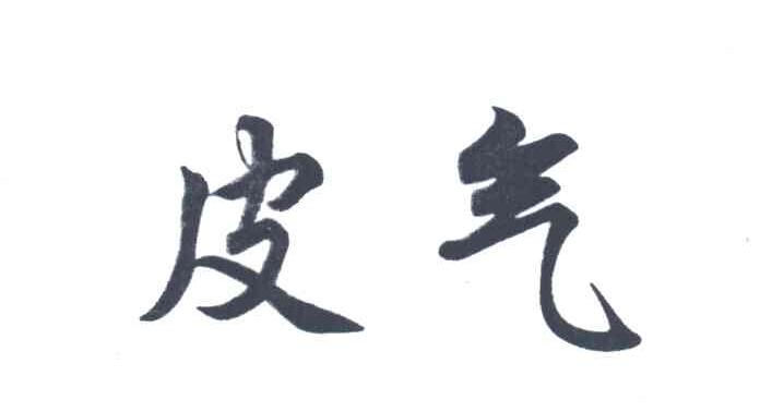 皮气