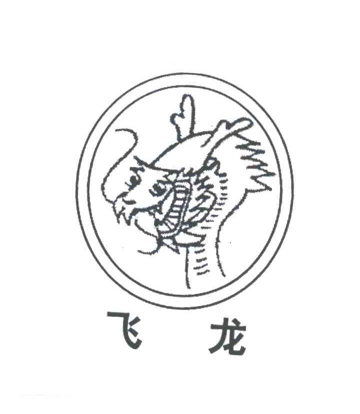 飞龙