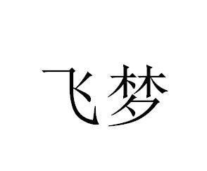 飞梦