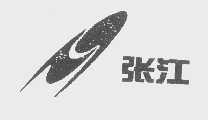 张江