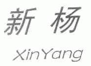新杨