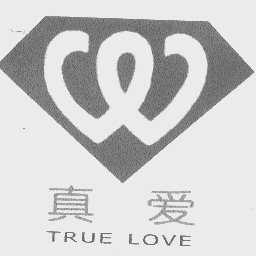 真爱   TRUE LOVE