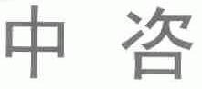 中咨