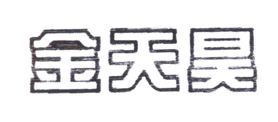 金天昊