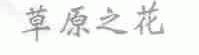 草原之花