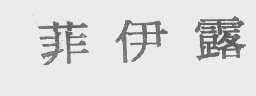 菲伊露
