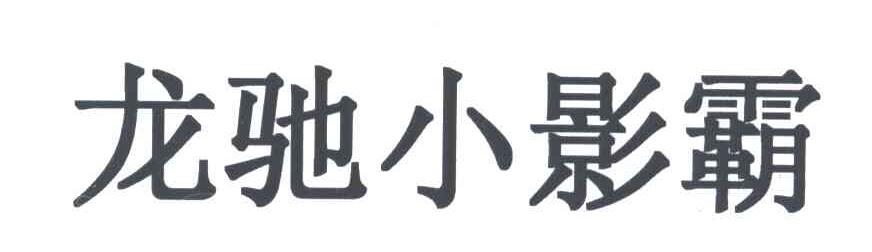龙驰小影霸