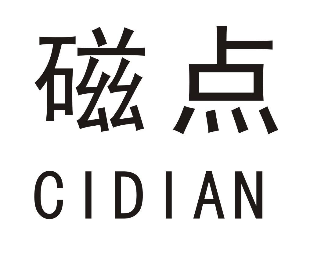磁点