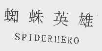 蜘蛛英雄   SPIDERHERO