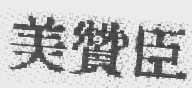 美赞臣