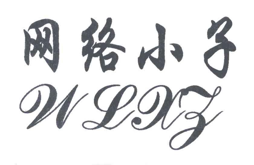 网络小子WLXZ