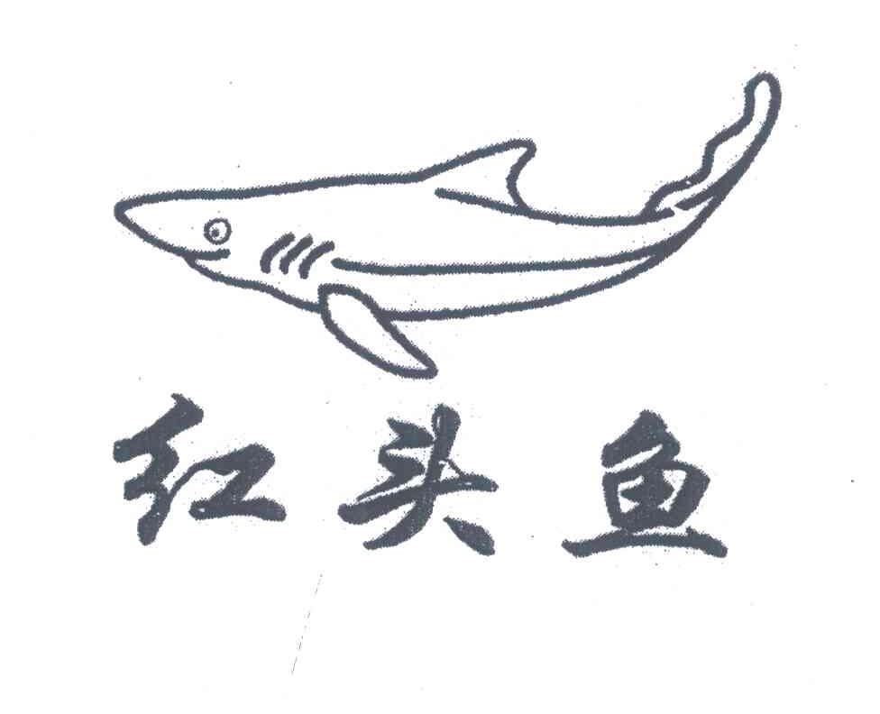 红头鱼