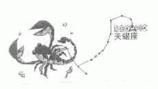 天蝎座;SCORPIO