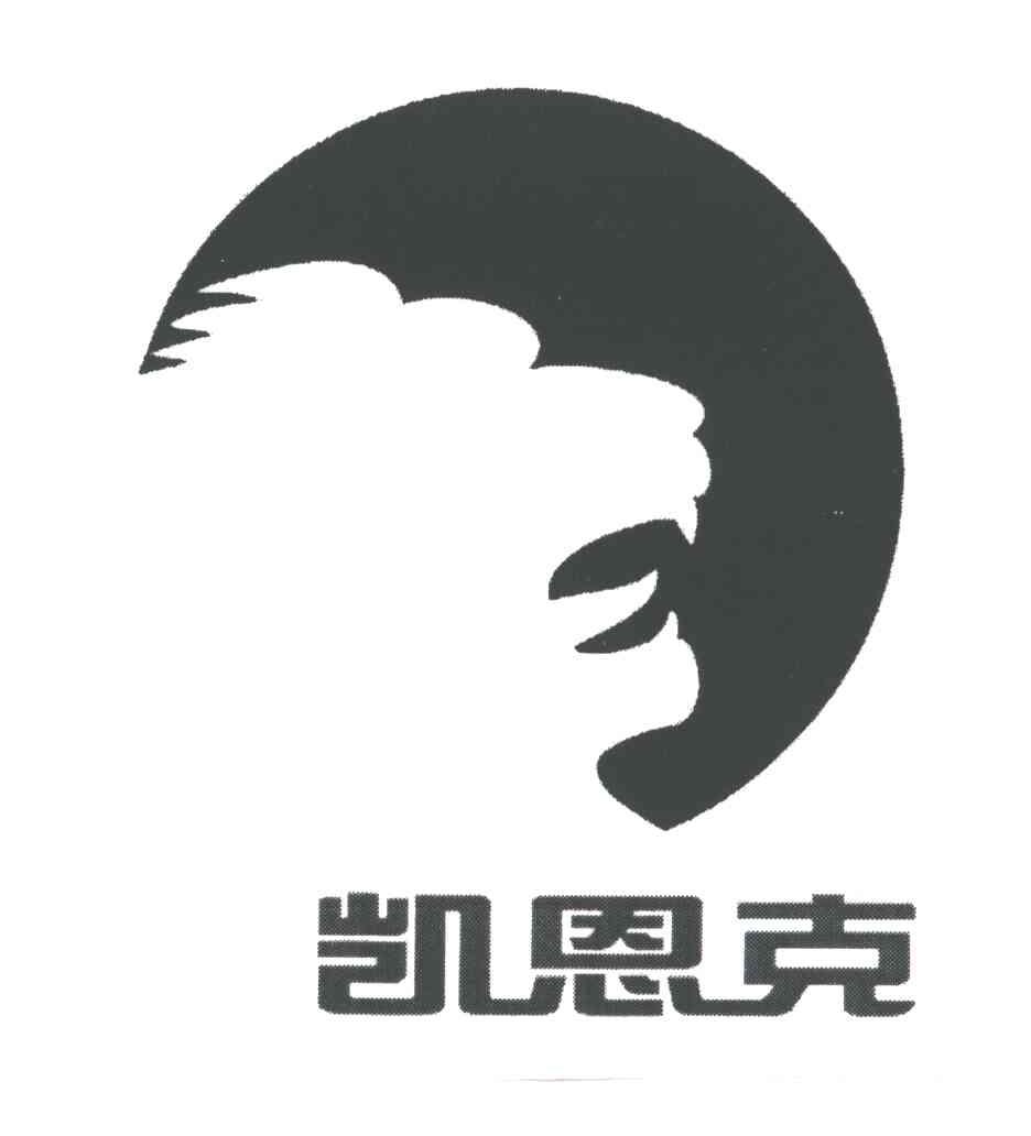 凯恩克